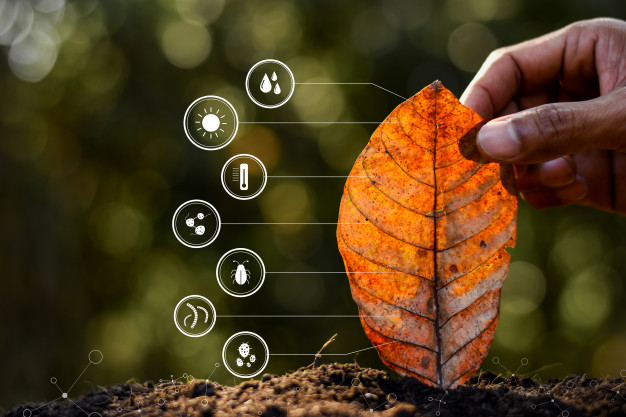 leaves-hands-men-technology-icon-about-degradation-into-soil