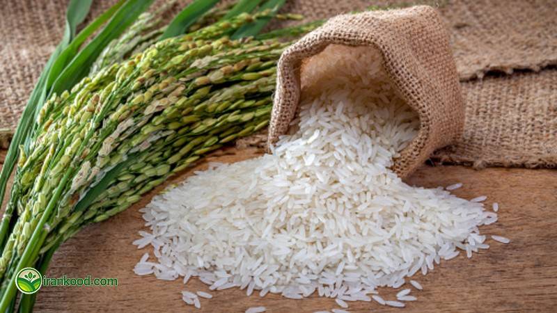 برنامه کود دهی برنج
