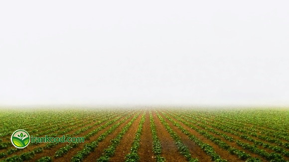 تصویر زمین زراعی در مقاله اهمیت کود برای کشاورزی